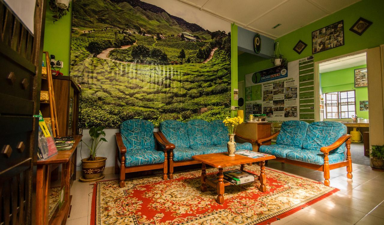 Orchid Haven Hostel Cao nguyên Cameron Ngoại thất bức ảnh