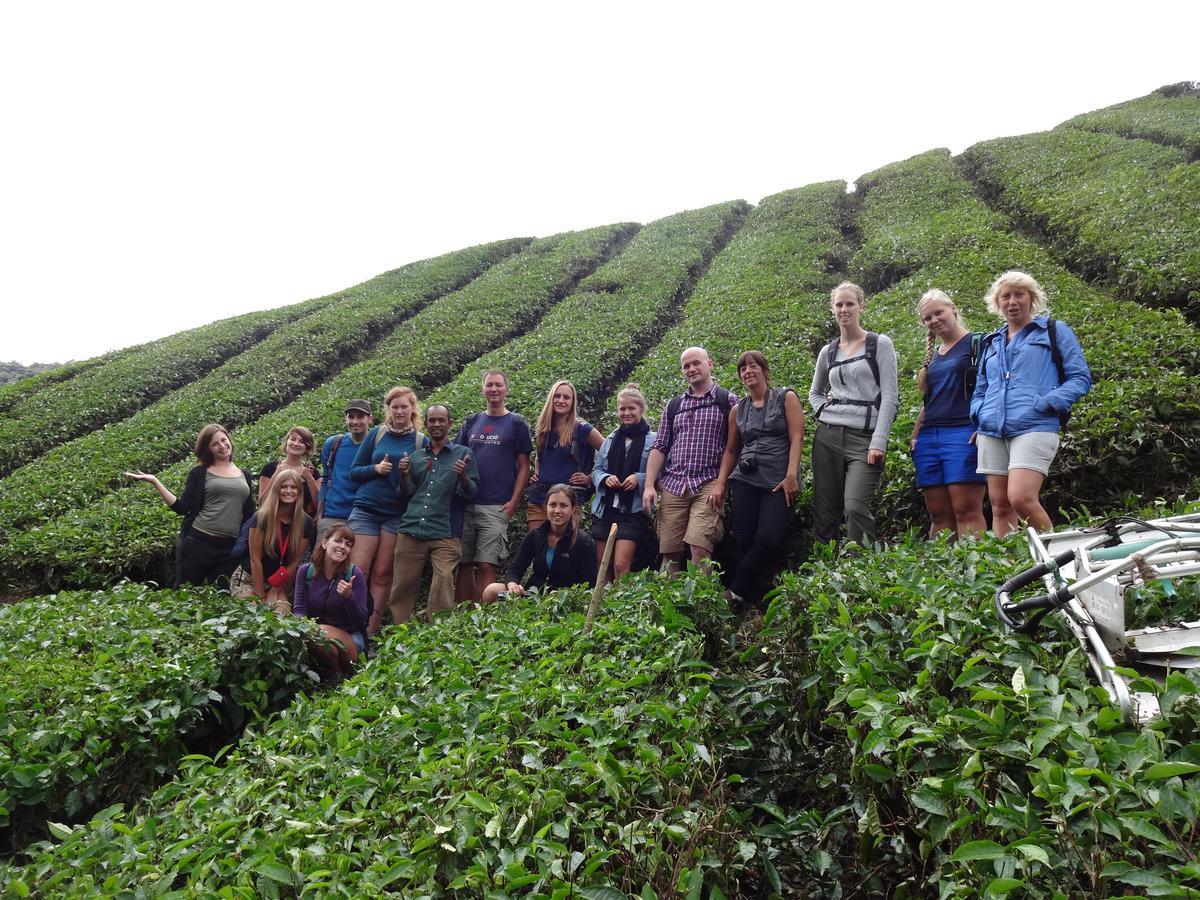 Orchid Haven Hostel Cao nguyên Cameron Ngoại thất bức ảnh