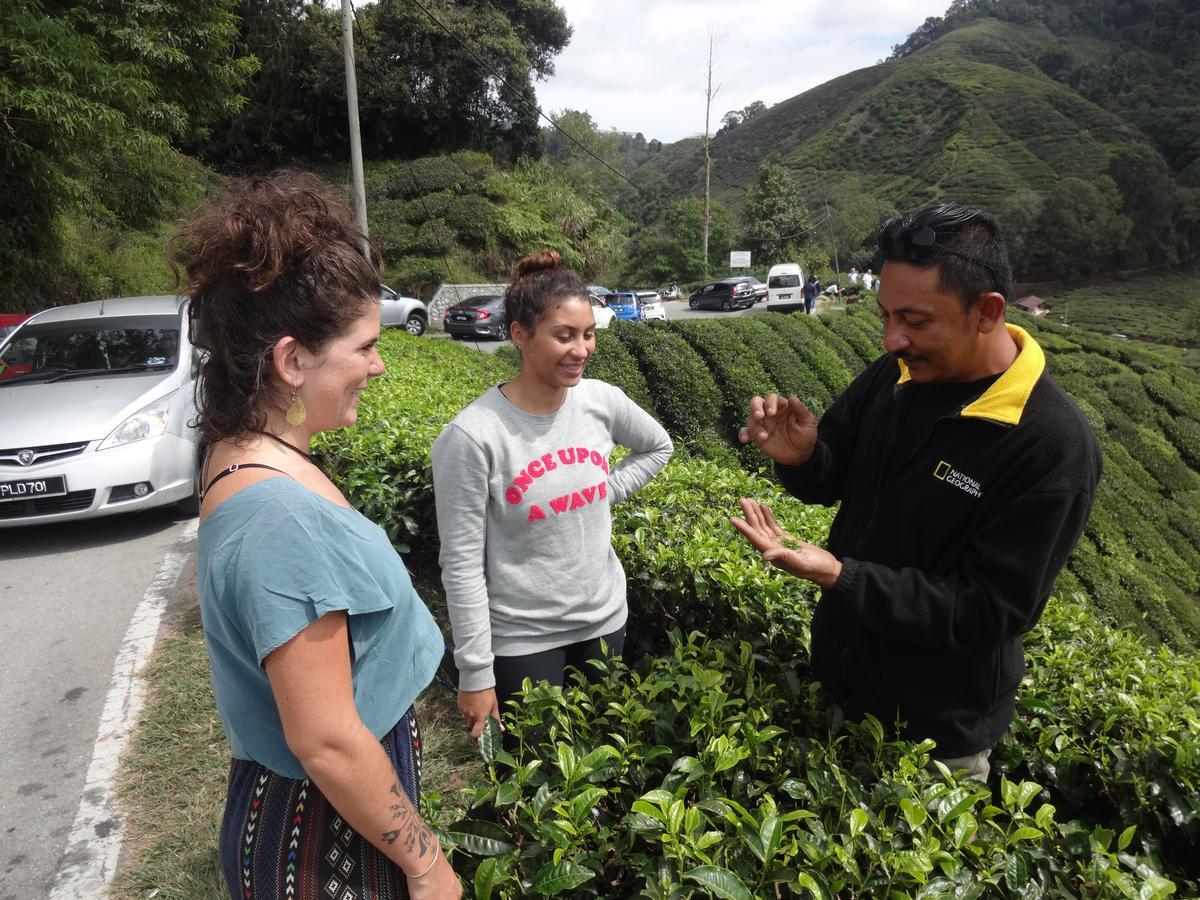 Orchid Haven Hostel Cao nguyên Cameron Ngoại thất bức ảnh