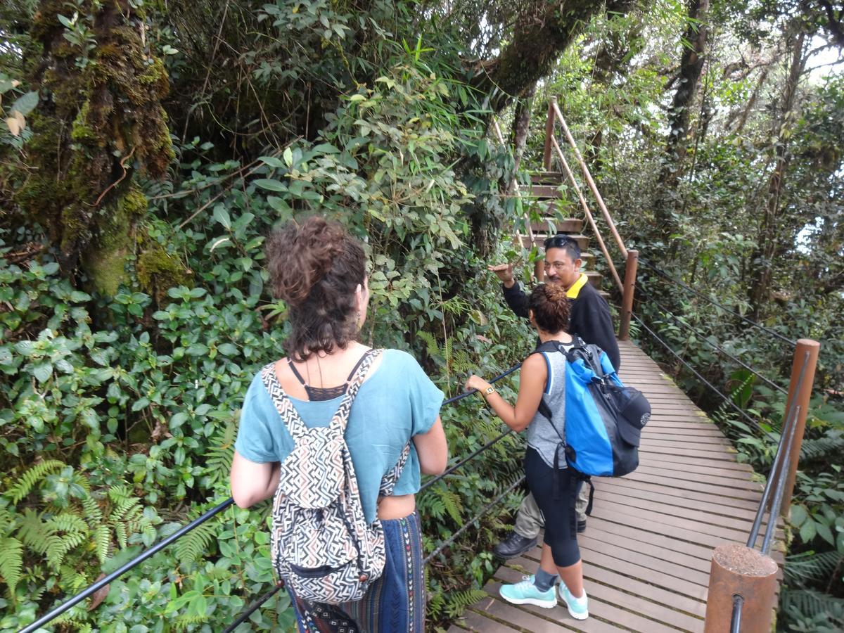 Orchid Haven Hostel Cao nguyên Cameron Ngoại thất bức ảnh