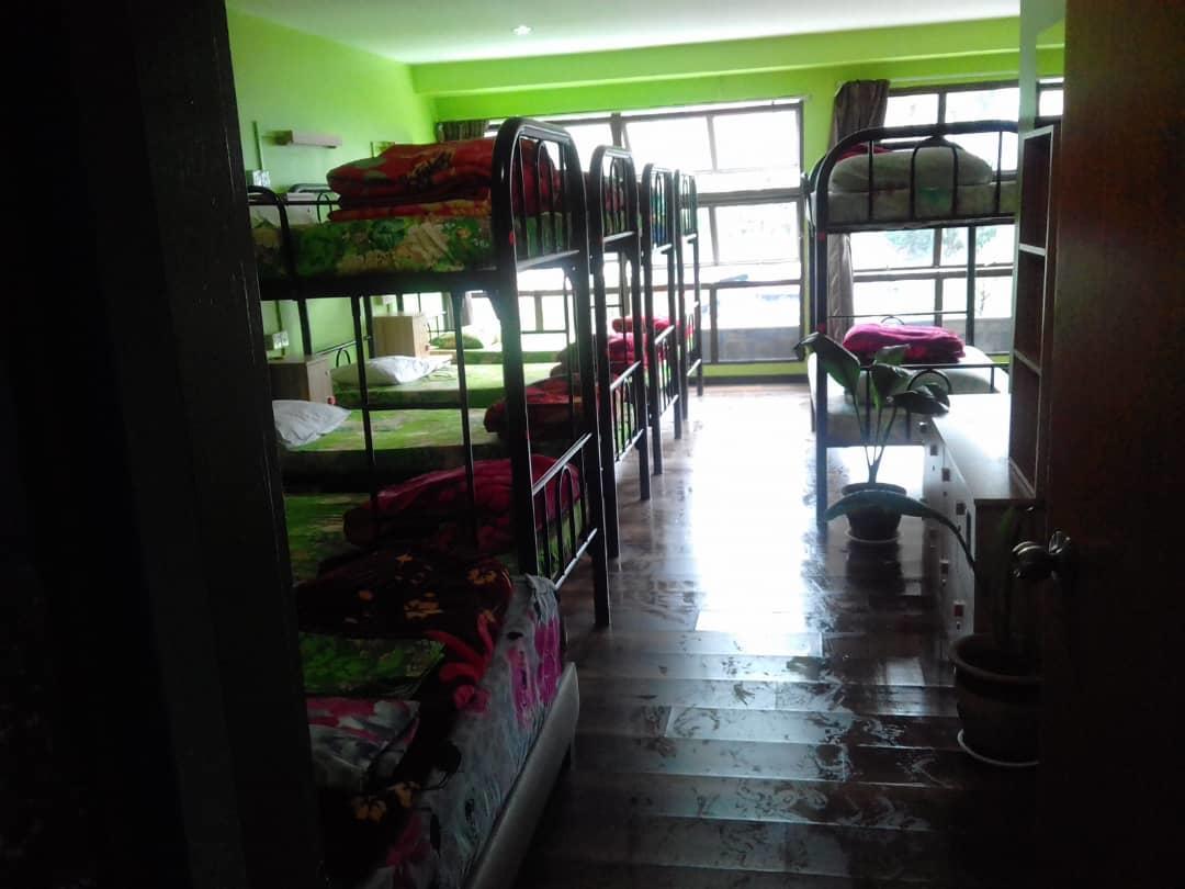 Orchid Haven Hostel Cao nguyên Cameron Ngoại thất bức ảnh