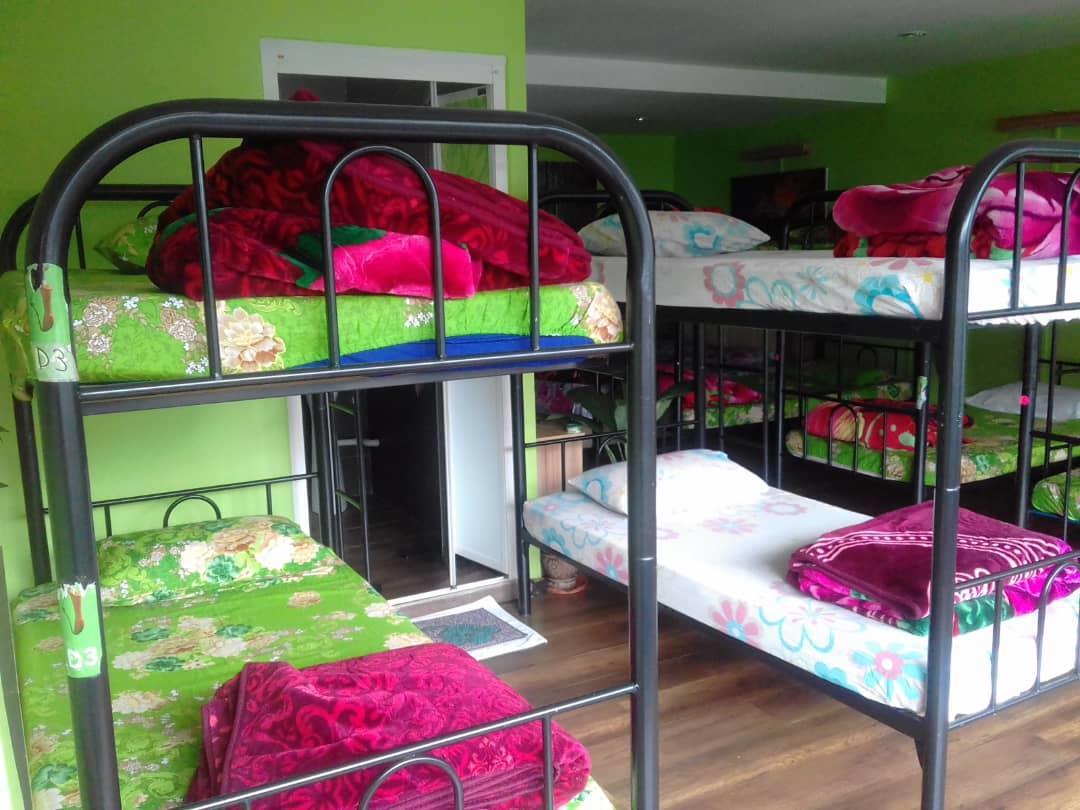 Orchid Haven Hostel Cao nguyên Cameron Ngoại thất bức ảnh