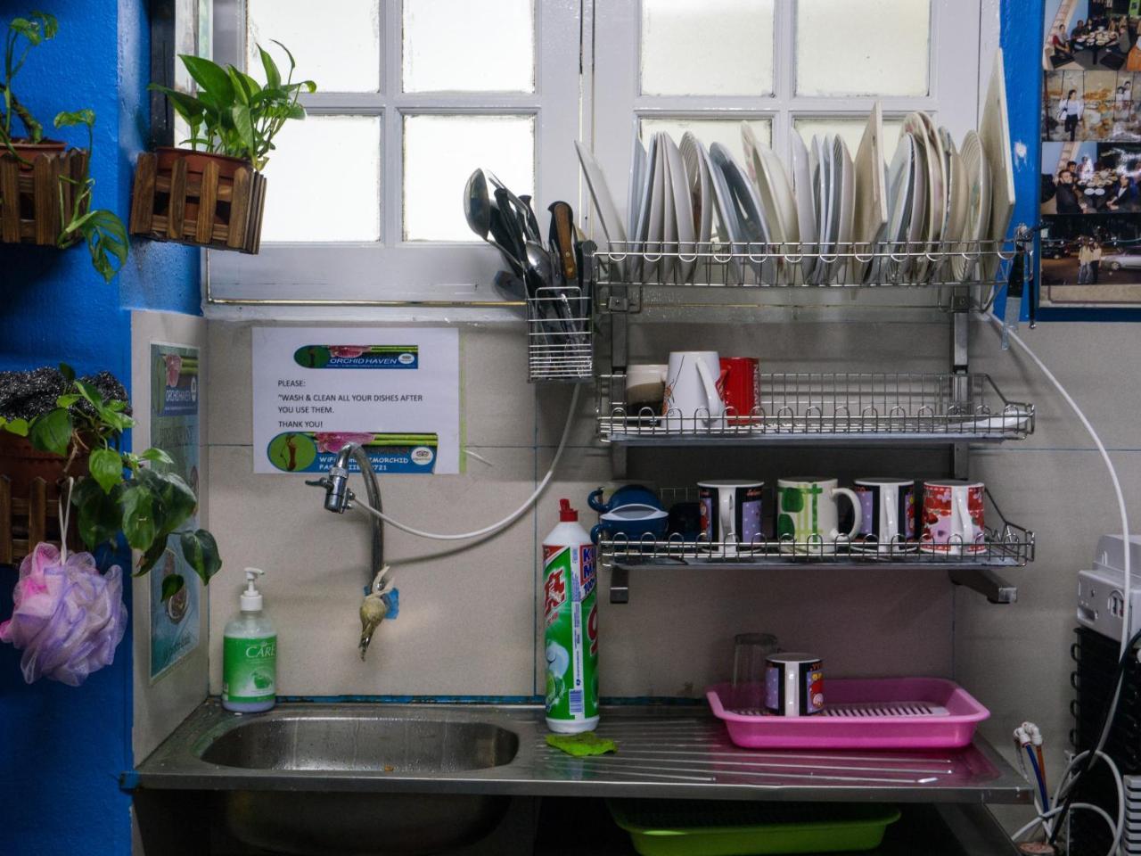 Orchid Haven Hostel Cao nguyên Cameron Ngoại thất bức ảnh