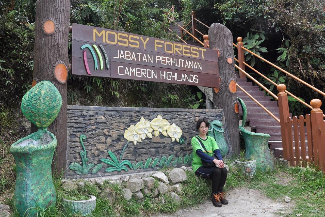 Orchid Haven Hostel Cao nguyên Cameron Ngoại thất bức ảnh